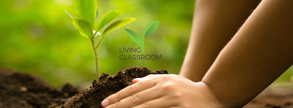 Customer Interview: “Living Classroom” on Caspio’s Custom Application